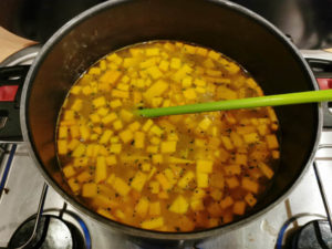 Zutaten köcheln lassen, Rezept Kürbis Suppe aus der Van Küche von Vroni's Vanlife